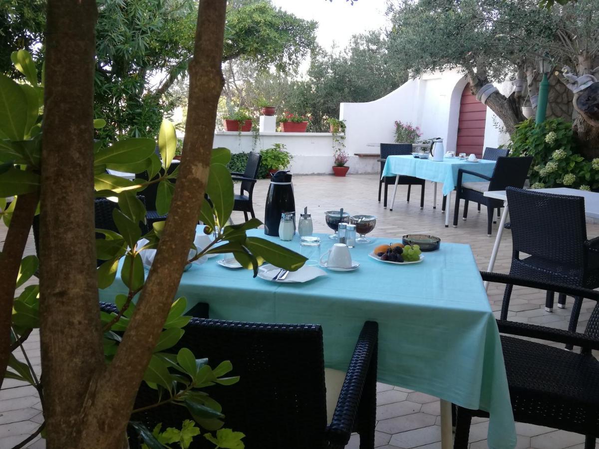Riviera Rooms And Apartments Palit Εξωτερικό φωτογραφία