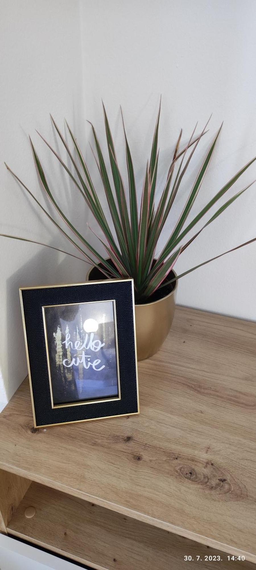 Riviera Rooms And Apartments Palit Εξωτερικό φωτογραφία